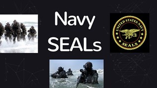 What are Navy SEALs at emaze Presentation