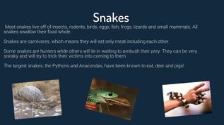 Snakes at emaze Presentation