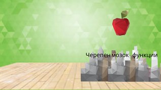 Черепен мозок --- функции at emaze Presentation