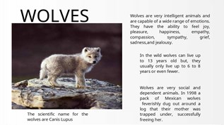 wolves at emaze Presentation