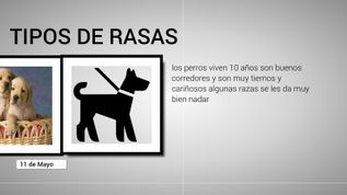 tipos de Rasas at emaze Presentation