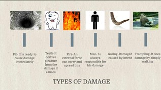 Damages at emaze Presentation