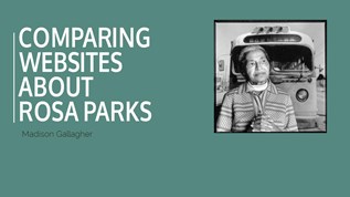 rosa parks bus boycott civil rights facts history