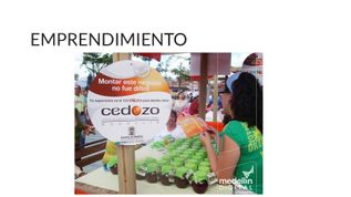EMPRENDIMIENTO at emaze Presentation