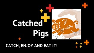 Catched Pigs at emaze Presentation