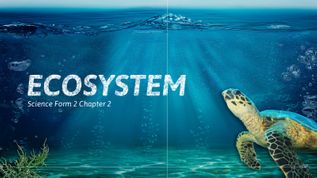 ECOSYSTEM at emaze Presentation