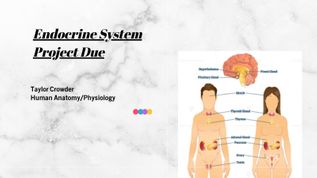 Endocrine System Project Due: at emaze Presentation