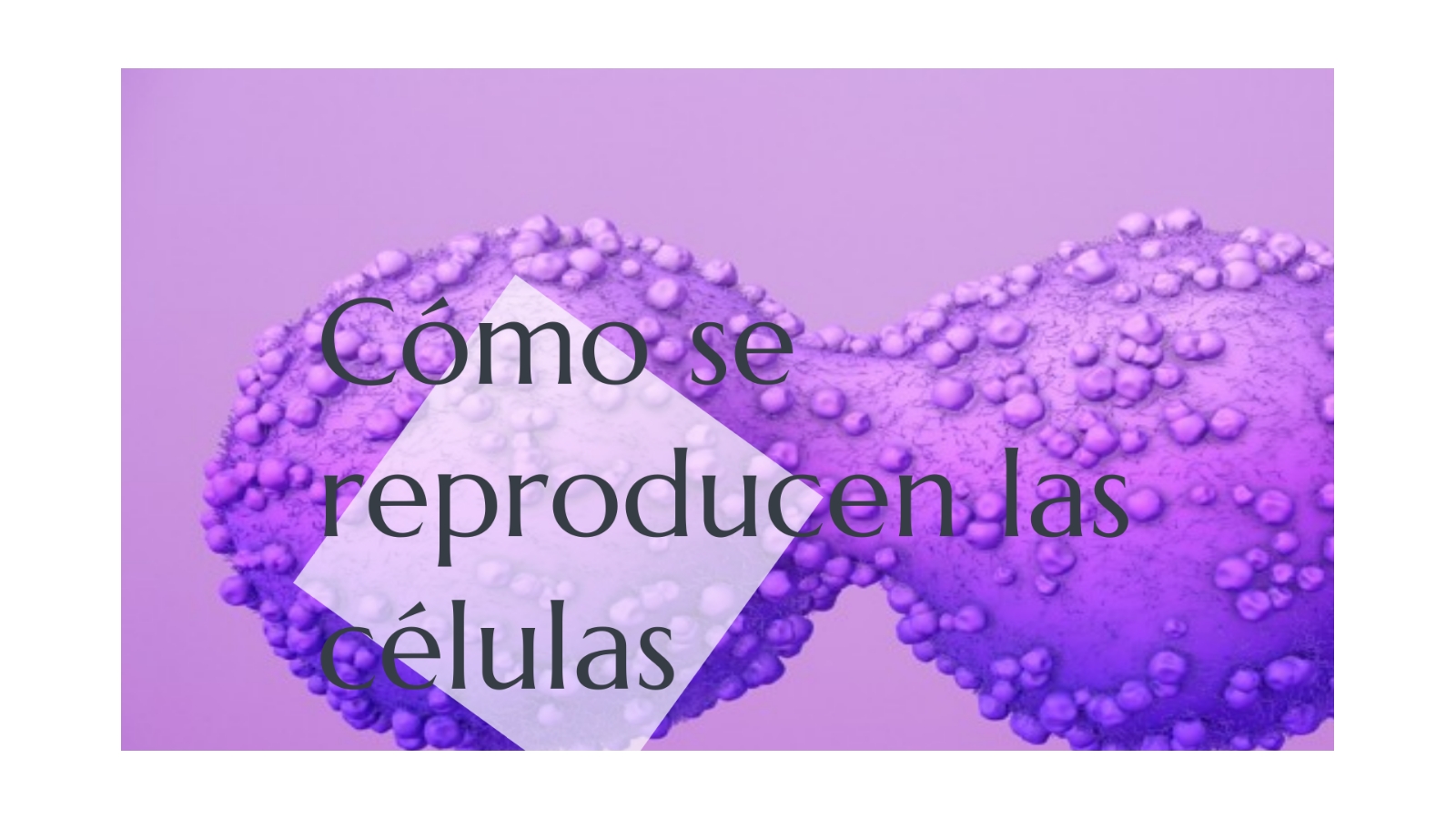 Como se reproducen las células at emaze Presentation