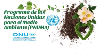 Programa de las Naciones Unidas para el Medio Ambiente on emaze