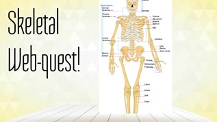 Skeletal Webquest at emaze Presentation