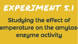 experiment 5.1 at emaze Presentation
