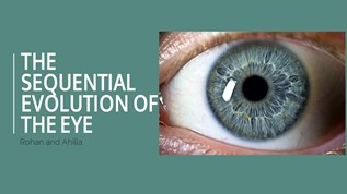 Evolution of the Eye at emaze Presentation