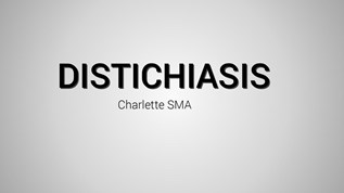 distichiasis on emaze