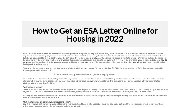 how-to-get-an-esa-letter-in-california-how-to-guide-reverasite