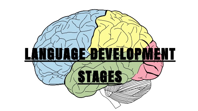 LANGUAGE DEVELOPMENTSTAGES at emaze Presentation