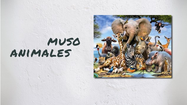 muso animales at emaze Presentation