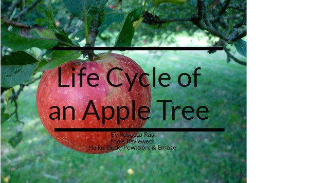 life-cycle-of-an-apple-tree-at-emaze-presentation