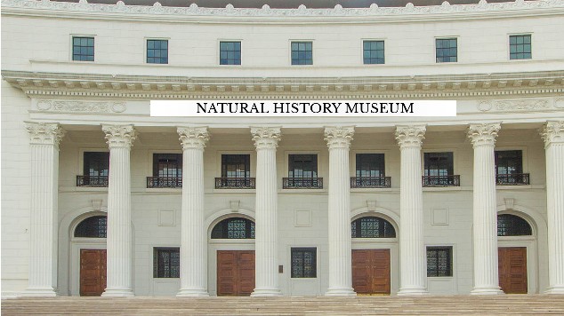 NATURAL HISTORY MUSEUM at emaze Presentation