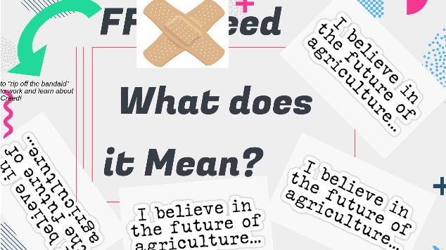 ffa-creed-what-does-it-mean-at-emaze-presentation