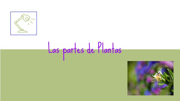 Las partes de Plantas at emaze Presentation