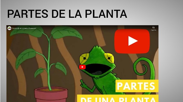 partes de la planta at emaze Presentation