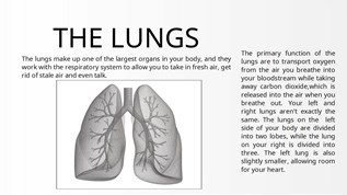 anatomic dead space in lungs