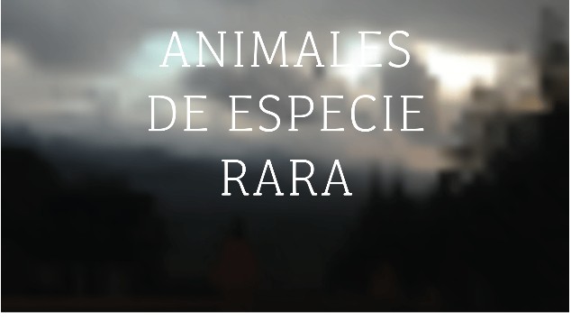 ANIMALES DE ESPECIE RARA at emaze Presentation