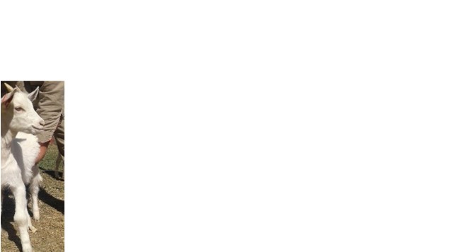 Academic Building At Emaze Presentation