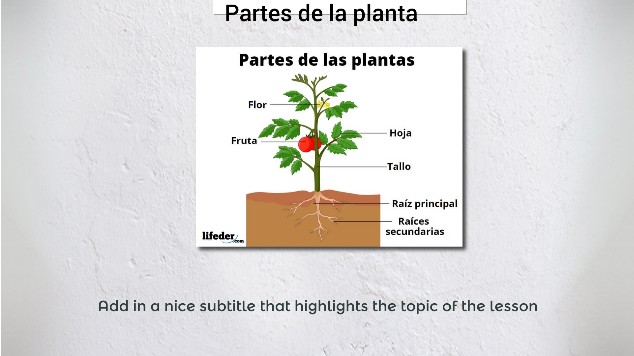 Partes de la planta at emaze Presentation