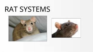 Presentation Name at emaze Presentation