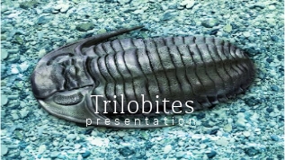 Trilobites at emaze Presentation