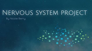 Nervous System At Emaze Presentation