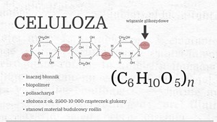 Celuloza at emaze Presentation
