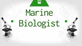 Marine Biologist at emaze Presentation
