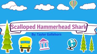 Scalloped Hammerhead at emaze Presentation