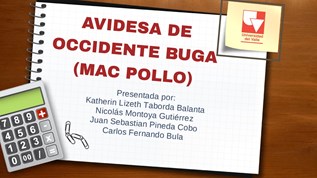 Avidesa de Occidente I.O on emaze