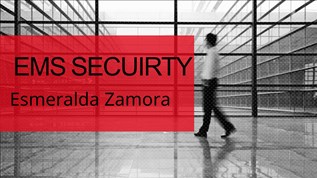 Ems Security System Project at emaze Presentation