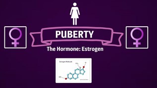 Puberty at emaze Presentation