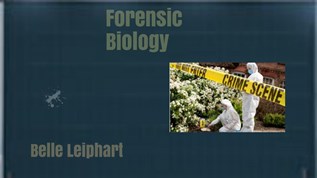 Forensic Biologist At Emaze Presentation