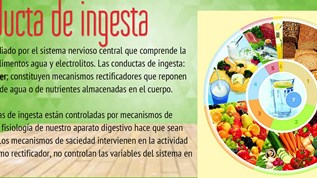 conducta de ingesta at emaze Presentation
