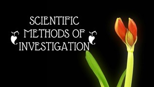 INVESTIGATING METHODS at emaze Presentation