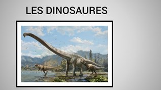 Dinosaure Chambre