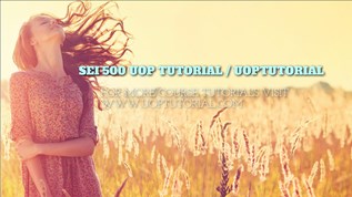 SEI 500 UOP TUTORIAL Uoptutorial at emaze Presentation