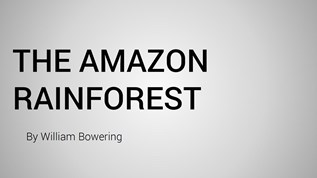 Amazon Rainforest At Emaze Presentation