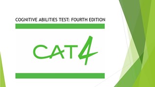 Test 4 life. Cat 4 Test. Cat4 тест Международный. Cat4 Test examples. Cat 4 тест примеры.
