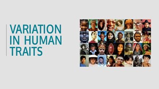 Variation in Human Traits at emaze Presentation