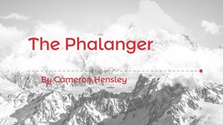 The Phalanger at emaze Presentation
