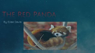 The Red Panda at emaze Presentation
