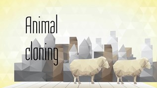 Animal cloning at emaze Presentation