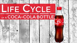 Life Cycle of Coca-Cola at emaze Presentation